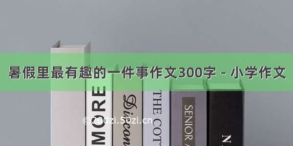 暑假里最有趣的一件事作文300字 - 小学作文