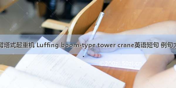 动臂塔式起重机 Luffing boom-type tower crane英语短句 例句大全