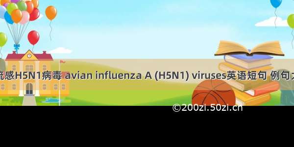 禽流感H5N1病毒 avian influenza A (H5N1) viruses英语短句 例句大全