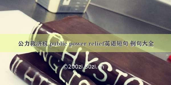 公力救济权 public power relief英语短句 例句大全