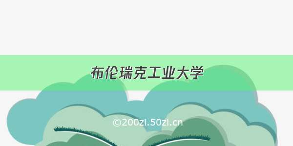 布伦瑞克工业大学