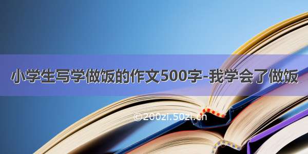 小学生写学做饭的作文500字-我学会了做饭