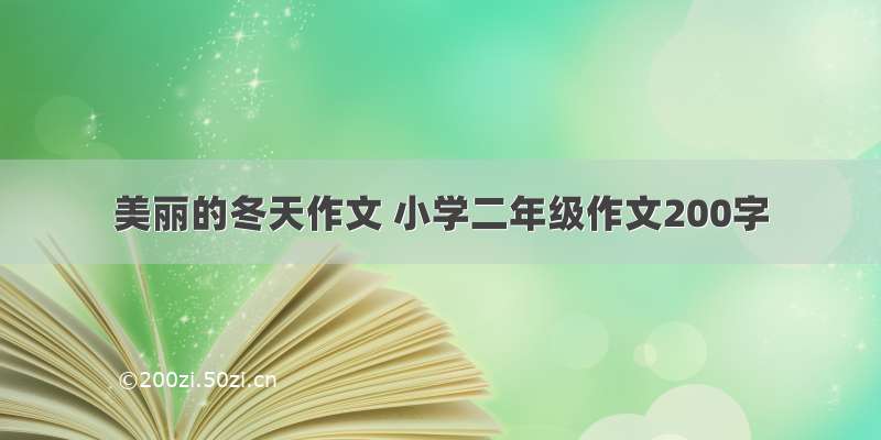 美丽的冬天作文 小学二年级作文200字