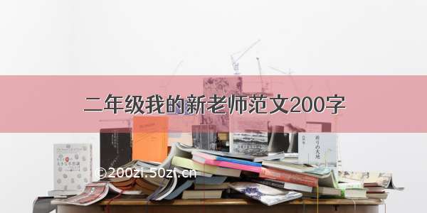 二年级我的新老师范文200字