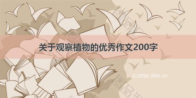 关于观察植物的优秀作文200字