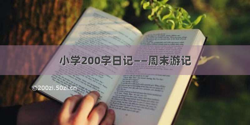 小学200字日记——周末游记