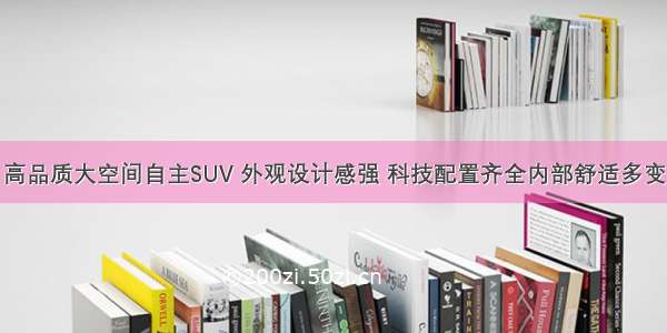 高品质大空间自主SUV 外观设计感强 科技配置齐全内部舒适多变