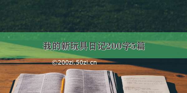 我的新玩具日记200字5篇