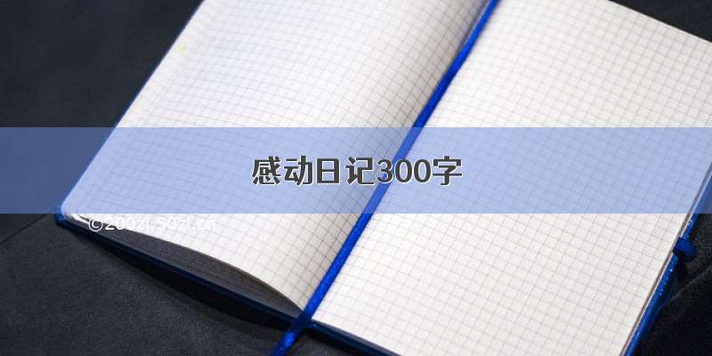 感动日记300字