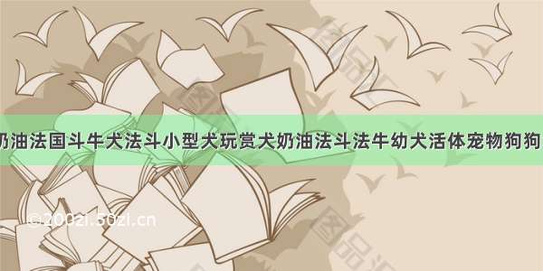 奶油法国斗牛犬法斗小型犬玩赏犬奶油法斗法牛幼犬活体宠物狗狗x