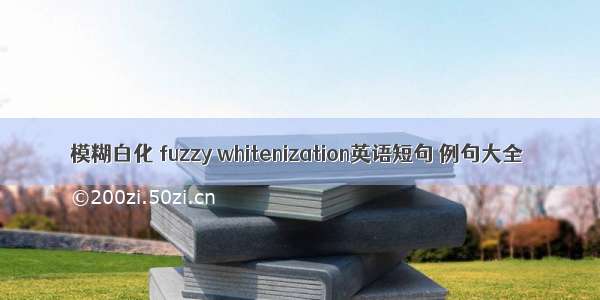 模糊白化 fuzzy whitenization英语短句 例句大全