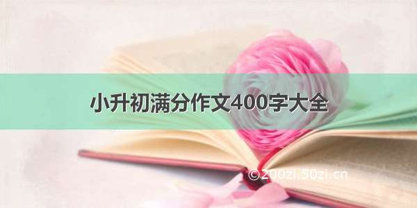 小升初满分作文400字大全