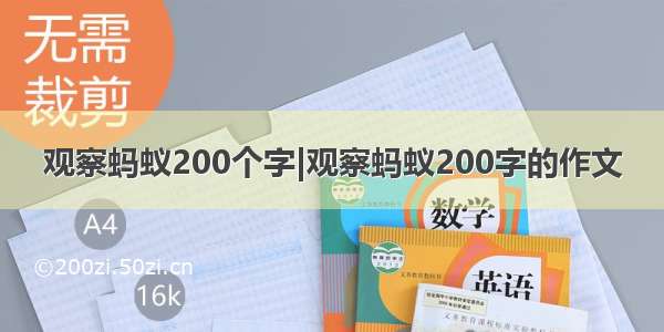 观察蚂蚁200个字|观察蚂蚁200字的作文