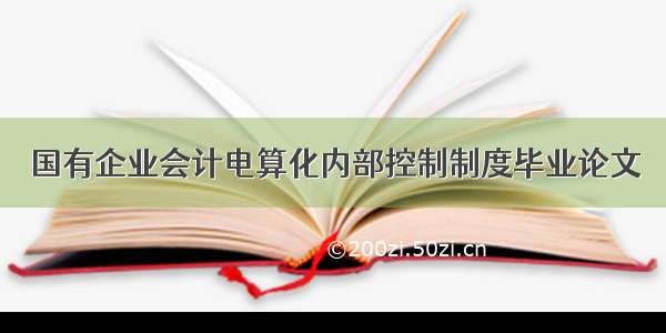 国有企业会计电算化内部控制制度毕业论文