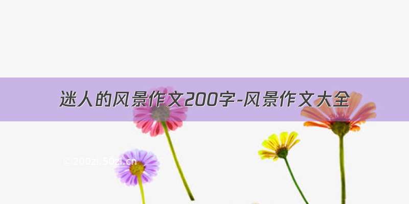 迷人的风景作文200字-风景作文大全