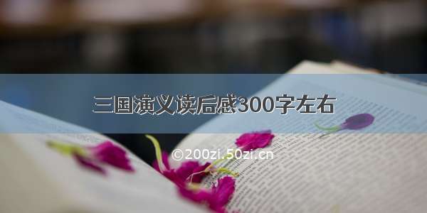 三国演义读后感300字左右