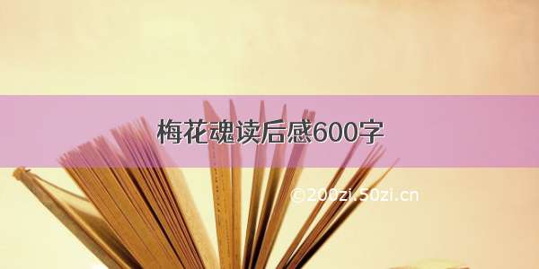 梅花魂读后感600字