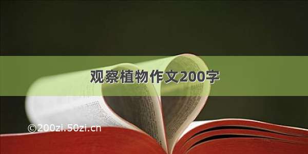 观察植物作文200字