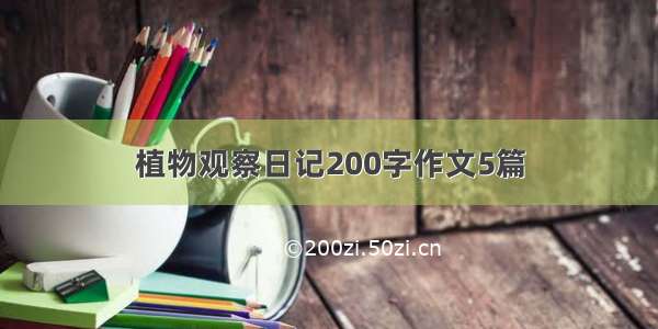 植物观察日记200字作文5篇