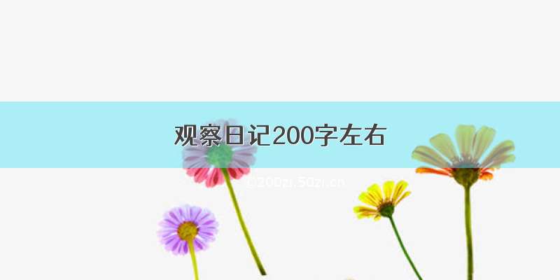 观察日记200字左右