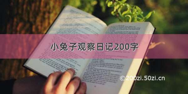 小兔子观察日记200字