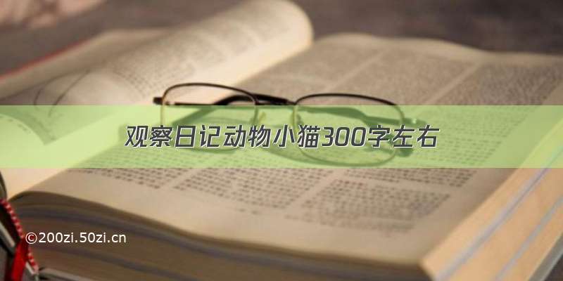 观察日记动物小猫300字左右