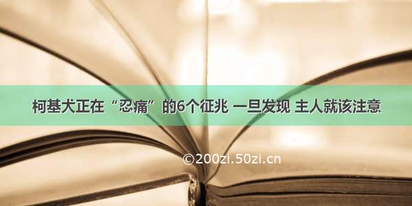 柯基犬正在“忍痛”的6个征兆 一旦发现 主人就该注意