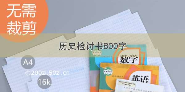 历史检讨书800字