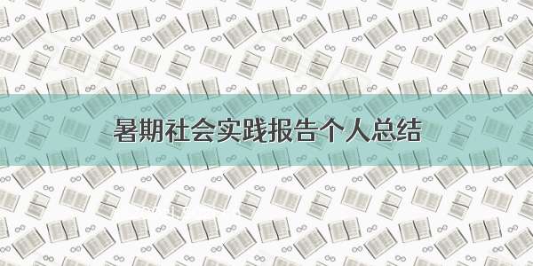 暑期社会实践报告个人总结