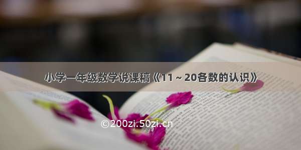 小学一年级数学说课稿《11～20各数的认识》