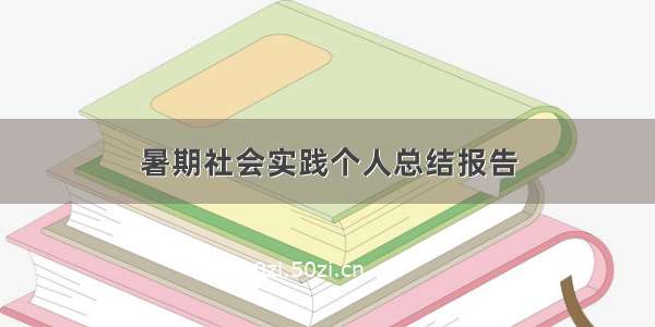 暑期社会实践个人总结报告