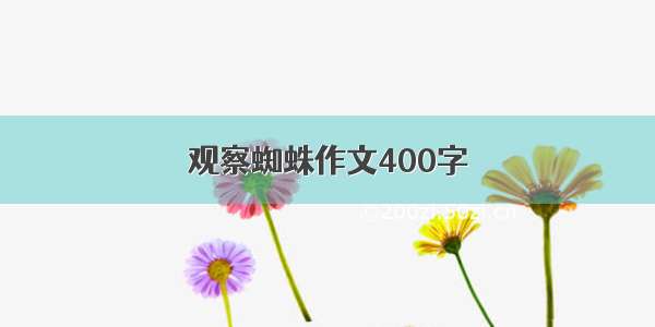 观察蜘蛛作文400字