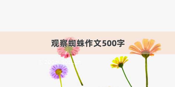 观察蜘蛛作文500字