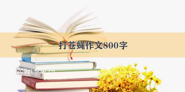 打苍蝇作文800字