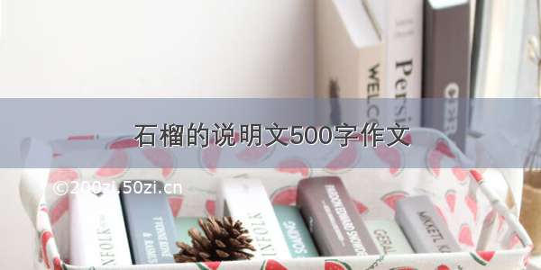 石榴的说明文500字作文