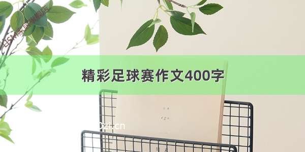 精彩足球赛作文400字