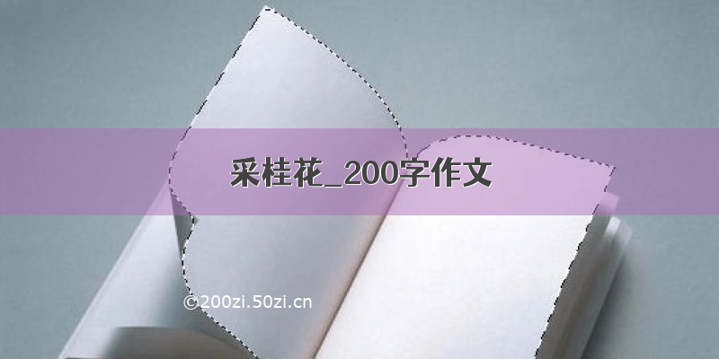 采桂花_200字作文