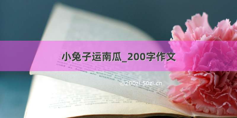 小兔子运南瓜_200字作文