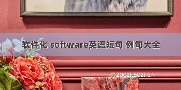 软件化 software英语短句 例句大全