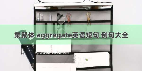 集聚体 aggregate英语短句 例句大全