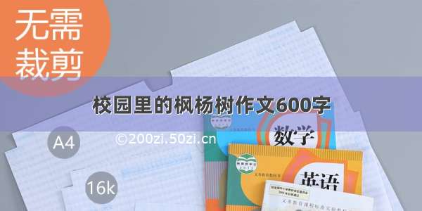 校园里的枫杨树作文600字