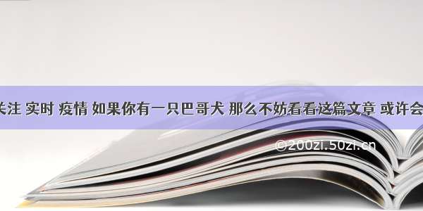 翻看 我 关注 实时 疫情 如果你有一只巴哥犬 那么不妨看看这篇文章 或许会收获许多