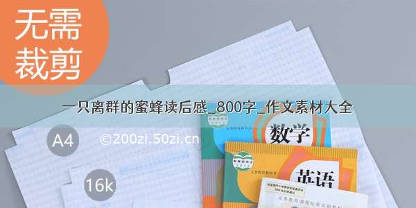 一只离群的蜜蜂读后感_800字_作文素材大全