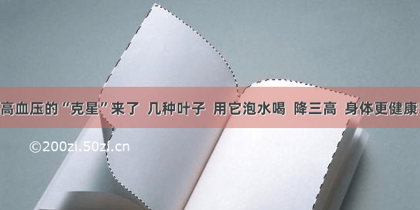 高血压的“克星”来了  几种叶子  用它泡水喝  降三高  身体更健康!