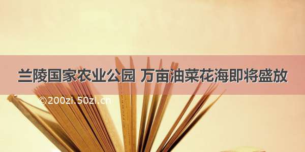 兰陵国家农业公园 万亩油菜花海即将盛放