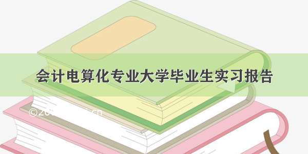 会计电算化专业大学毕业生实习报告