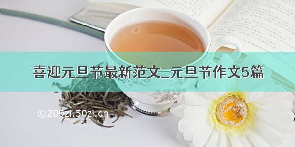 喜迎元旦节最新范文_元旦节作文5篇