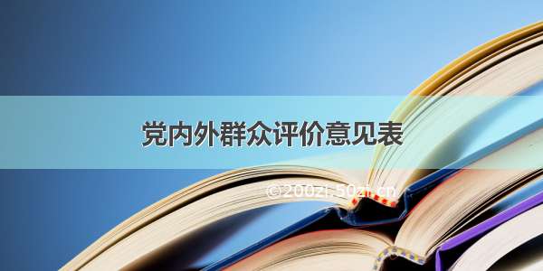 党内外群众评价意见表