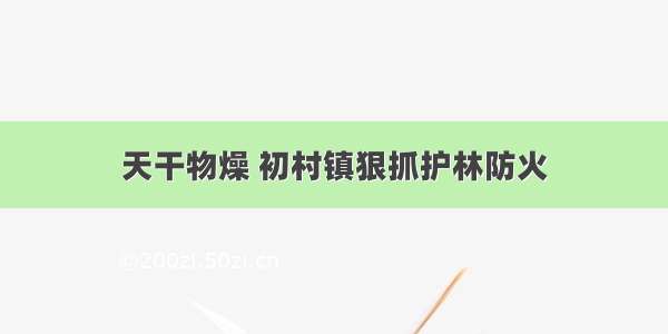 天干物燥 初村镇狠抓护林防火