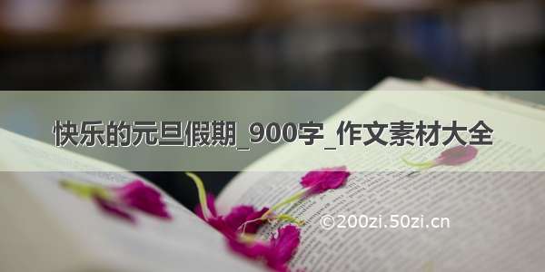 快乐的元旦假期_900字_作文素材大全